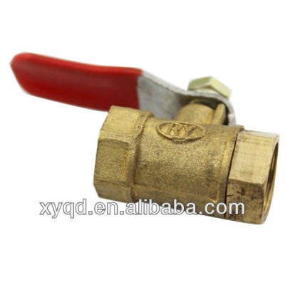 Brass Foot Valve with strainer